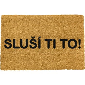 Covoraș intrare din fibre de cocos artsy doormats slusi it, 40 x 60 cm