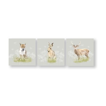 Set 3 tablouri de perete Graham & Brown Woodland Animals