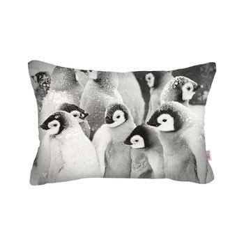 Față de pernă apolena pinguins, 50 x 31 cm