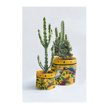 Set 2 ghivece madre selva guadalupe