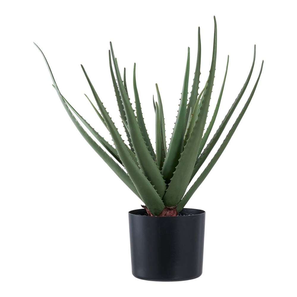 Umělá rostlina (výška 51 cm) Aloe Vera – House Nordic