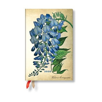 Agendă pentru anul 2020, cu copertă tare paperblanks blooming wisteria, 160 file, multicolor