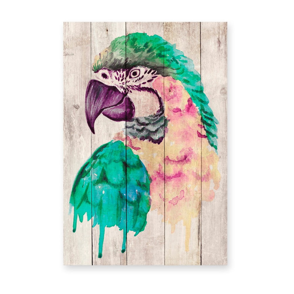 Nástěnná dekorace z borovicového dřeva Madre Selva Watercolor Parrot, 60 x 40 cm