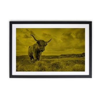 Tablou really nice things buffalo, 40 x 60 cm