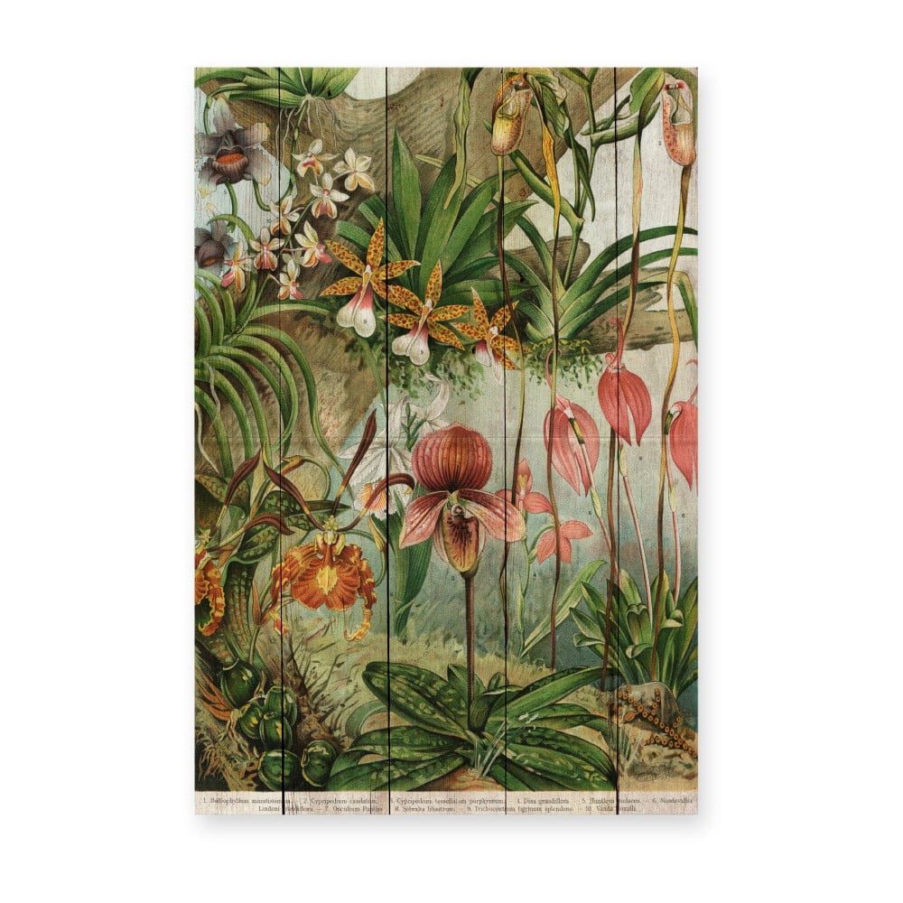 Nástěnná dekorace z borovicového dřeva Madre Selva Jungle Flowers, 60 x 40 cm