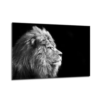 Tablou Styler Glasspik Canvas Animals Lion, 70 x 100 cm