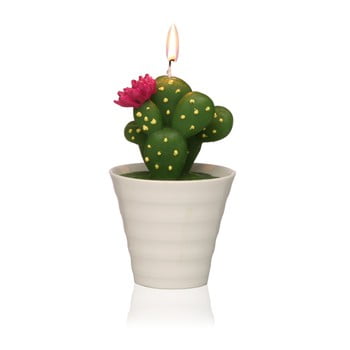 Lumânare decorativă în formă de cactus versa cactus paol