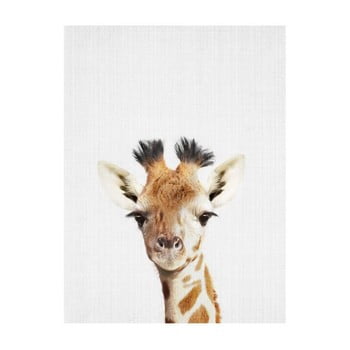 Poster Blue-Shaker Baby Animals Giraffe, 30 x 40 cm