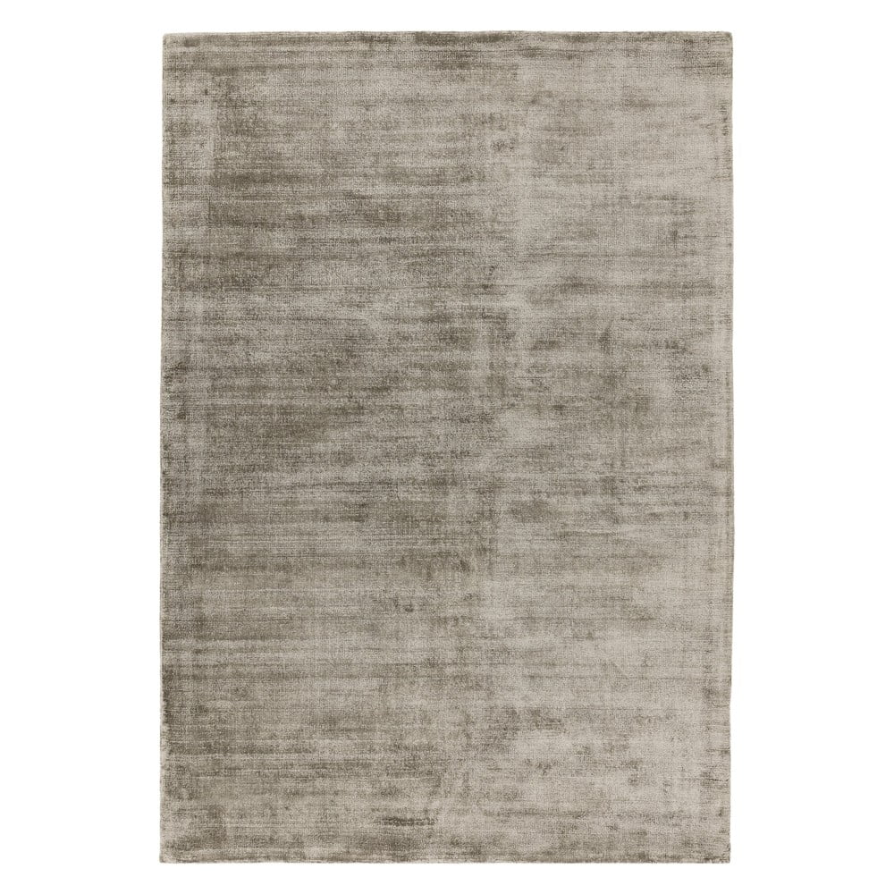 Hnědý koberec 230x160 cm Blade - Asiatic Carpets