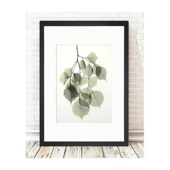 Tablou tablo center tender leaves, 24 x 29 cm