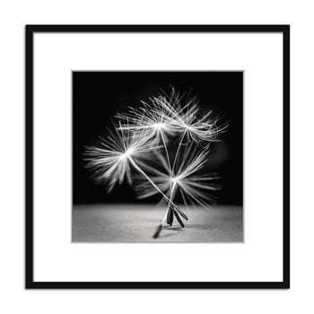 Tablou styler artbox dandel i, 50 x 50 cm