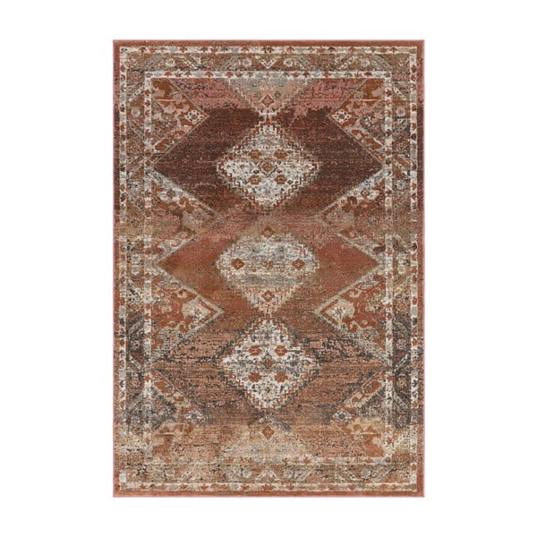 Červeno-hnědý koberec 230x155 cm Zola - Asiatic Carpets