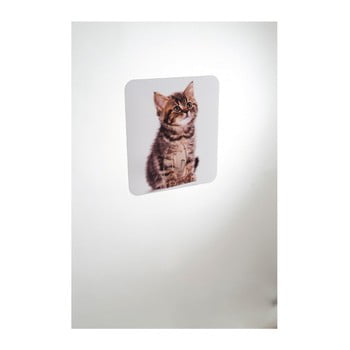 Cârlig de perete compactor magic cat