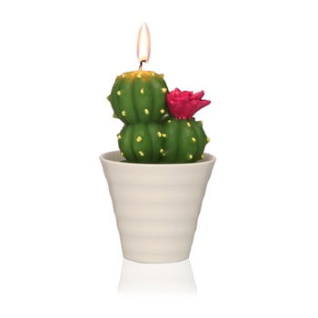 Lumânare decorativă în formă de cactus versa cactus fila
