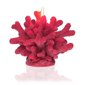 Lumânare decorativă în formă de coral versa coral