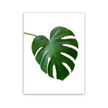 Tablou imprimat pe pânză styler monstera, 32 x 42 cm