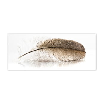 Tablou styler glasspik wings, 50 x 125 cm