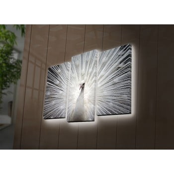 Tablou din 3 piese cu led-uri peacock