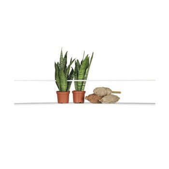 Raft de perete woood meert, 100 cm, alb