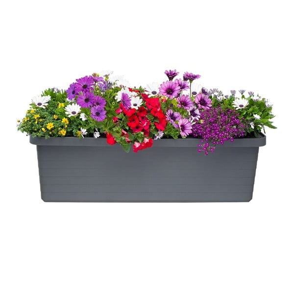 Antracitový velkoobjemový samozavlažovací truhlík Plastia Berberis TRIO, 72 l