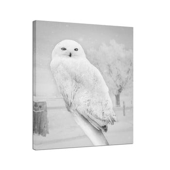 Tablou styler canvas nordic owl, 75 x 100 cm