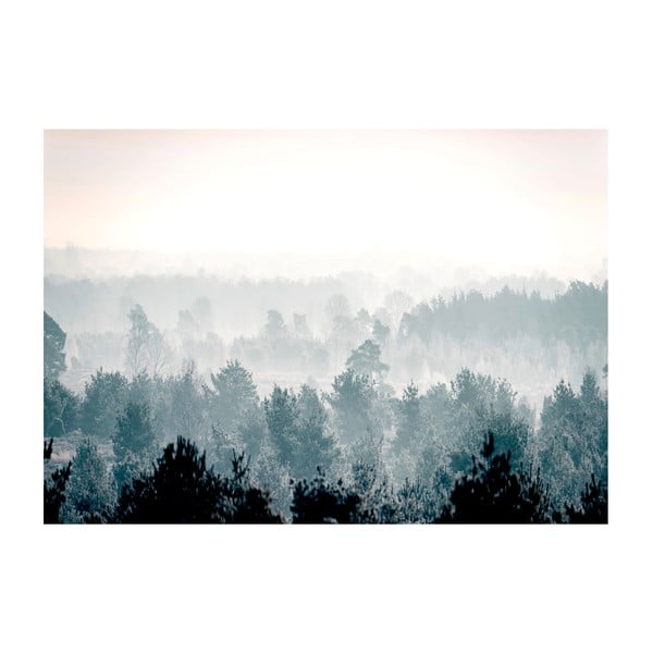 Velkoformátová tapeta Artgeist Winter Forest 400 x 280 cm