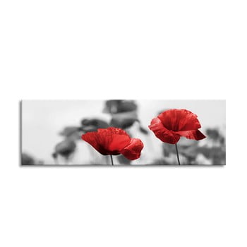 Tablou styler glas red poppy, 50 x 125 cm