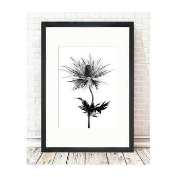 Tablou tablo center thistle vibes, 24 x 29 cm