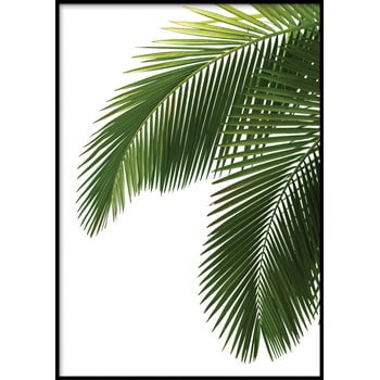 Poster cu ramă pentru perete bahamas, 40 x 50 cm