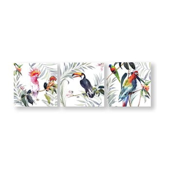 Set 3 tablouri de perete Graham & Brown Tropical Amazon Birds