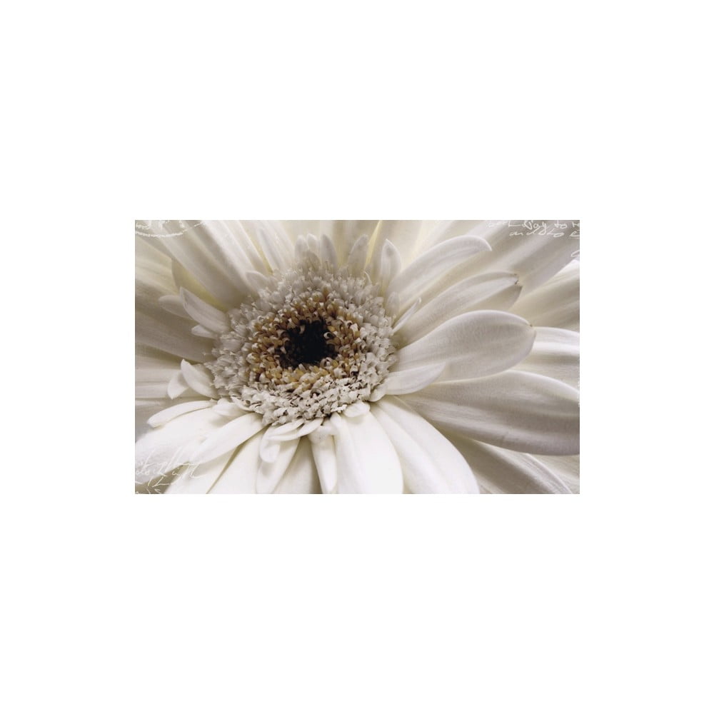 Fotoobraz White Flower