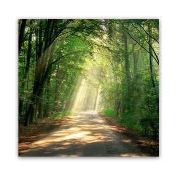 Tablou styler glas nature road, 30 x 30 cm