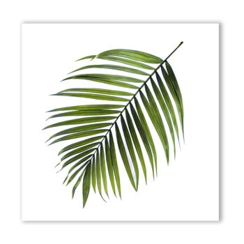 Tablou styler canvas greenery black palm, 32 x 32 cm