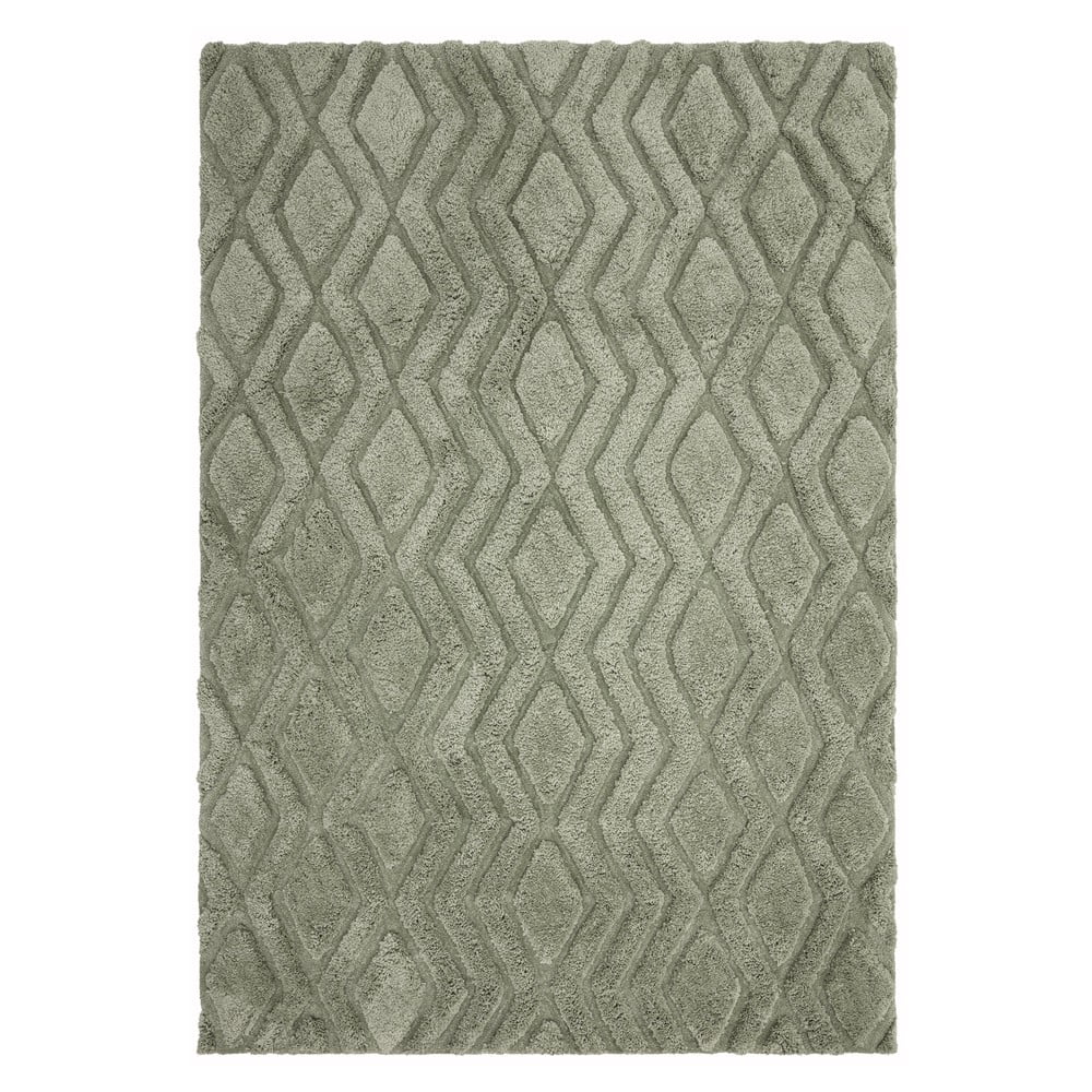 Zelený koberec 290x200 cm Harrison - Asiatic Carpets