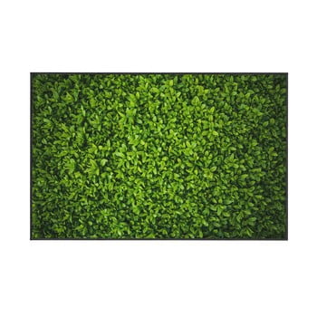 Covor oyo home ivy, 80 x 140 cm, verde
