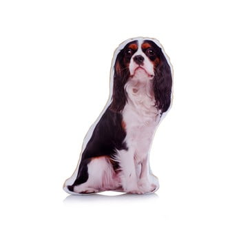 Pernă cu imprimeu cavaler adorable cushions midi king charles cavalier
