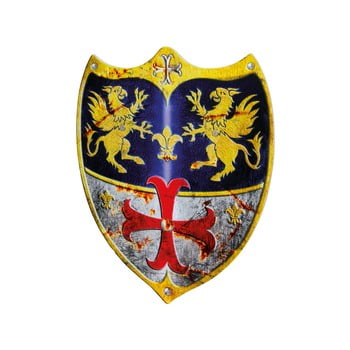 Set 2 scuturi pentru copii legler adam