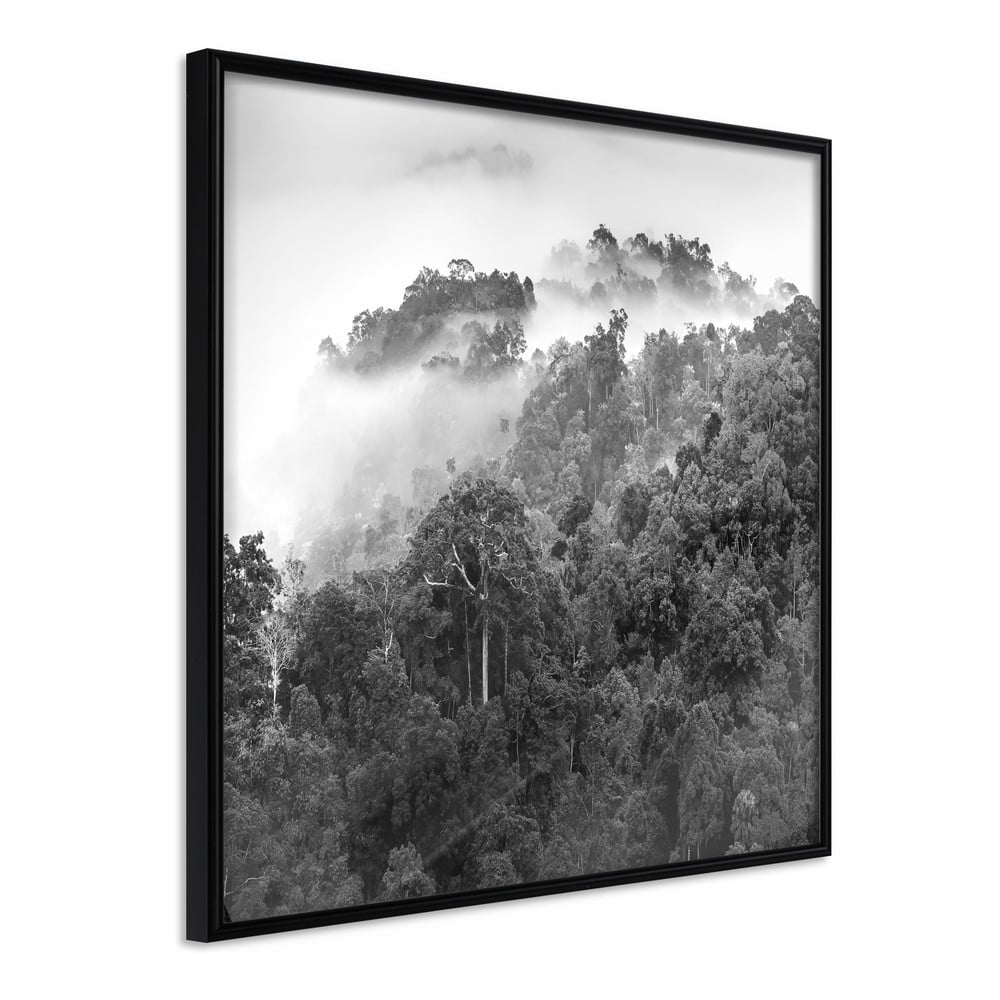 Plakát v rámu Artgeist Foggy Forest, 50 x 50 cm