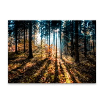 Tablou styler glasspik autumn sunset, 70 x 100 cm