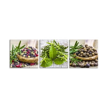 Set 3 tablouri din sticlă styler spices dos