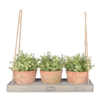 Raft pentru flori cu agățătoare ego dekor, lățime 53,3 cm