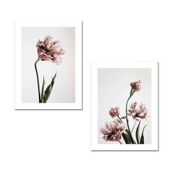 Set 2 tablouri onno calesio