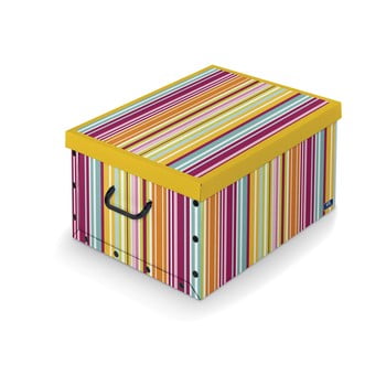 Cutie colorate pentru depozitare Bonita imagine