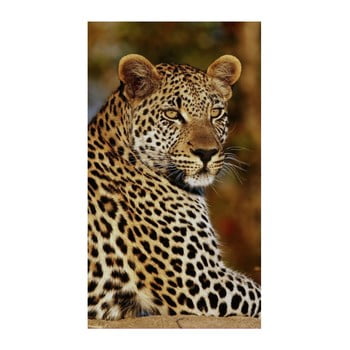 Prosop de plajă cu imprimeu good morning leopard, 100 x 180 cm