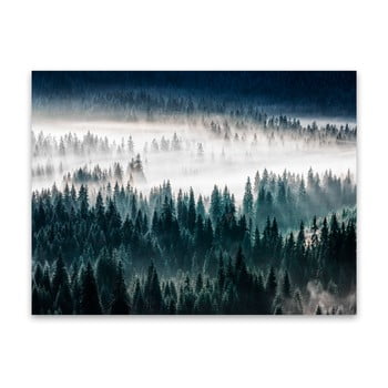 Tablou styler glasspik misty forest, 80 x 120 cm