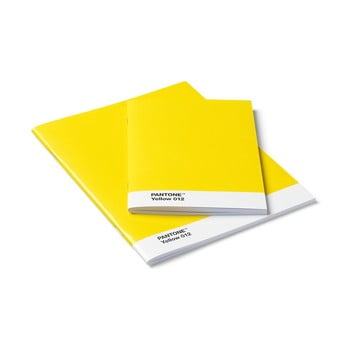 Set 2 caiete pantone, galben
