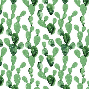 Tapet dekornik cactus, 50 x 280 cm