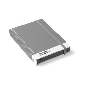 Set 2 caiete mici pantone, gri