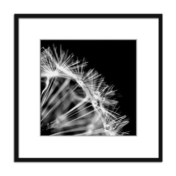 Tablou styler artbox dandel ii, 50 x 50 cm