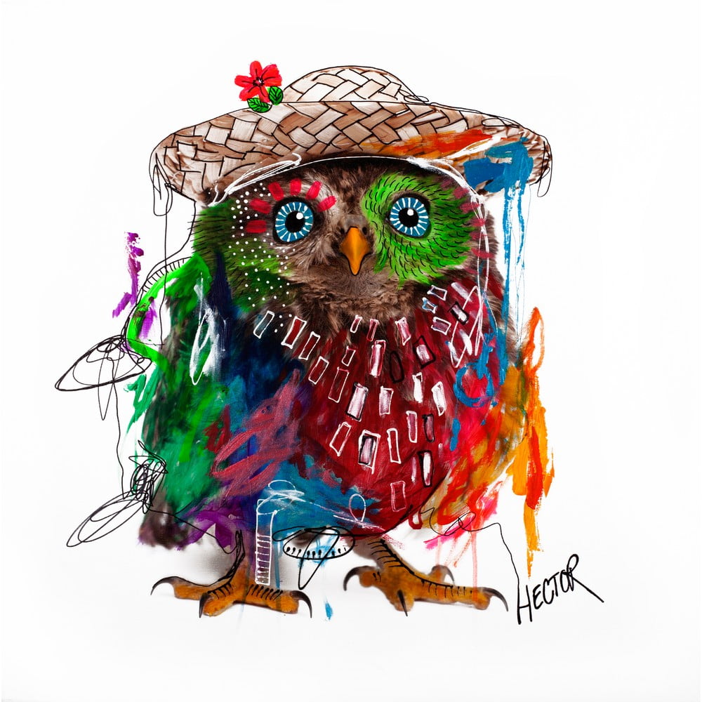 Hector Owl, 70x70 cm